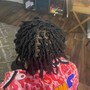 Starter Locs