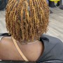 Comb Twist