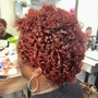 Root Touch Up