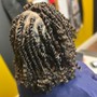 Passion Twists Bob