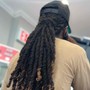 Starter Locs