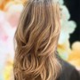 Full Highlights/Balayage