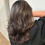 Partial Highlights/Balayage