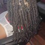 Large Senegalese twist( when you provide you hair)