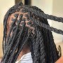 Two Strand Twists/Mini Twists