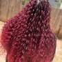 Bundles with Color