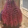 Bundles with Color