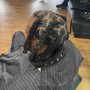 Bleach/Pluck  Closure Knots