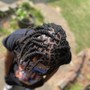 Men's braids Half head only