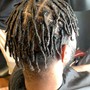 Starter Locs