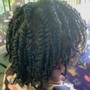 2 Strand Twist