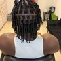 Starter Locs