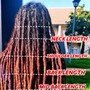 neck length/Loc color, tips or streaks