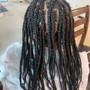 Adult 6-9 Braids To The Back