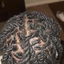 Passion twist short