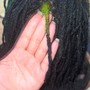 Marley Twist