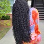 Texture Goddess soft locs whit 100% human hair (hair is provide) $200 non refundable deposit required $50 thorough this App and $150 through cashapp $gaellebraids or zelle 5713208305 )