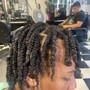 Comb coils starter locs