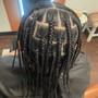 Plait braids/box braids (no hair added)