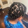 Plait braids/box braids (no hair added)