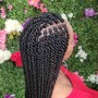 Tree Braids