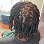 Starter locs: 2 Strand Twists (sm) -  Midback Length