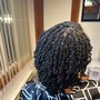 Two strand twist  (natural Hair)