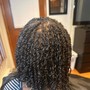 Two strand twist  (natural Hair)