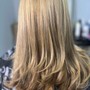 All Over Color, Partial Color, Permanent Color, Single Process Color, Double Process Color, Bleach and Tone, Toner, Babylights, Full Balayage, Silk Press, Natural Style, Partial Sew In, Bang Trim