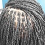 Micro Braids