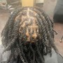 Large Starter Locs