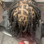 Root Touch Up