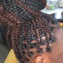 Feed in box  Braids