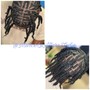 Half Feed- Ins/ Half Box Braids