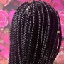 Kid's Knotless Braids $160/Kid’s Box Braids $140