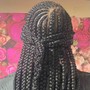 Feed-In Braids/Small