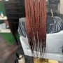 Root Touch Up