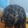 Starter Locs