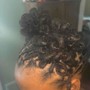 Root Touch Up