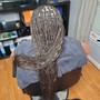 Straight back feed in Stitch Braids (8-10)