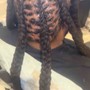 Braids w/ extensions