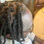 Adult Starter Locs