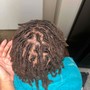 Adult retwist & style