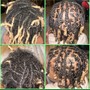 Adult starter locs