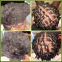 Adult starter locs