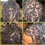 Adult starter locs