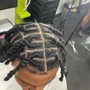 Starter Locs