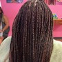 Medium Senegalese Twist