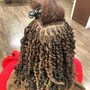 Twist Extensions/Passion Twist/Kinky Twist Extension/Read Description