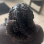 Retwist (Medium)